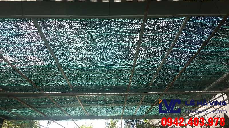 Lưới che nắng, Lê Hà Vina, Lưới che nắng Thái Lan, Lưới
