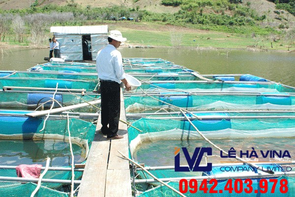 Lưới nuôi trồng thủy sản, Lưới nhựa, Công ty Lê Hà Vina, Lưới, Lưới nuôi trồng