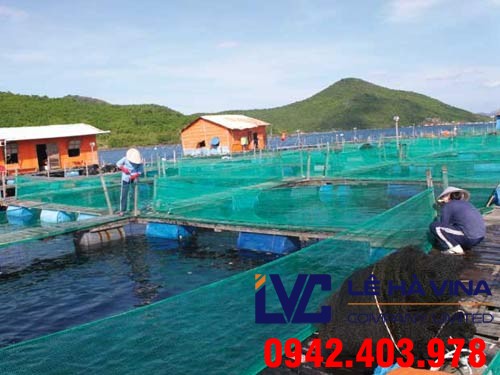 Lưới nuôi trồng thủy sản, Lưới nhựa, Lê Hà Vina, Lưới nhựa, Lưới