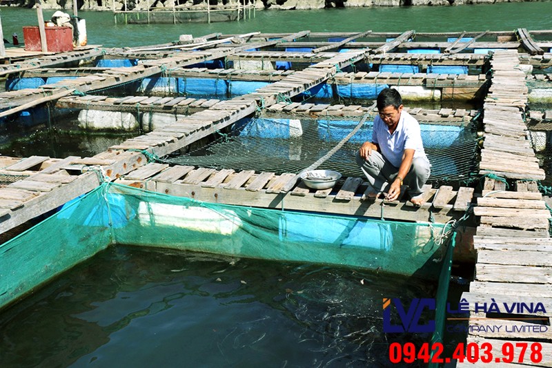 Lưới nuôi trồng thủy sản, Lưới nhựa, Lê Hà Vina, Lưới nhựa, Lưới
