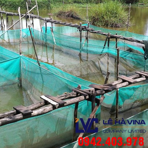 Lưới nuôi trồng thủy sản, Lê Hà Vina, Lưới Thái Lan, Lưới