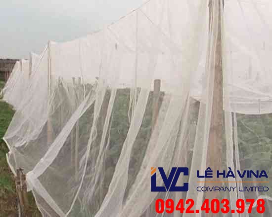 Lưới nông nghiệp, Lưới Thái Lan, Lê Hà Vina, Lưới nông nghiệp che chắn, Lưới nhựa