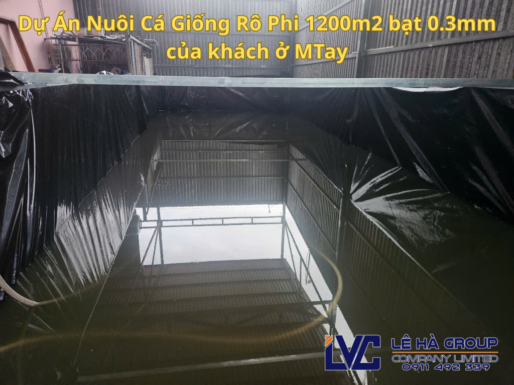 Bể Bạt Lót Ao Hồ Nuôi Cá của khách ở An Giang