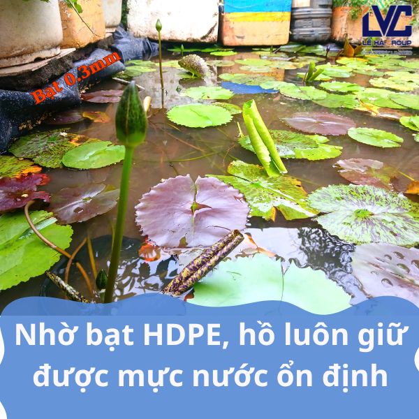 bạt lót ao hồ trồng súng - HDPE dày 0.3mm