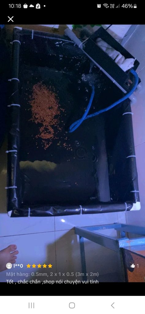 Bể Bạt HDPE dày 0.5mm nuôi cá giá rẻ tại kho