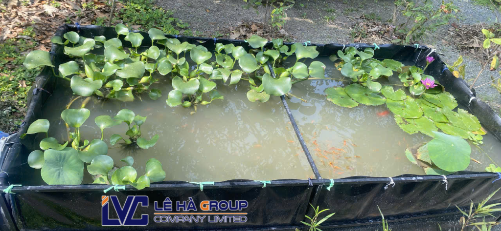 Bể Bạt HDPE dày 0.75mm làm theo kích thước yêu cầu