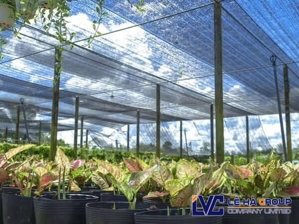 Lưới che nắng Lê Hà